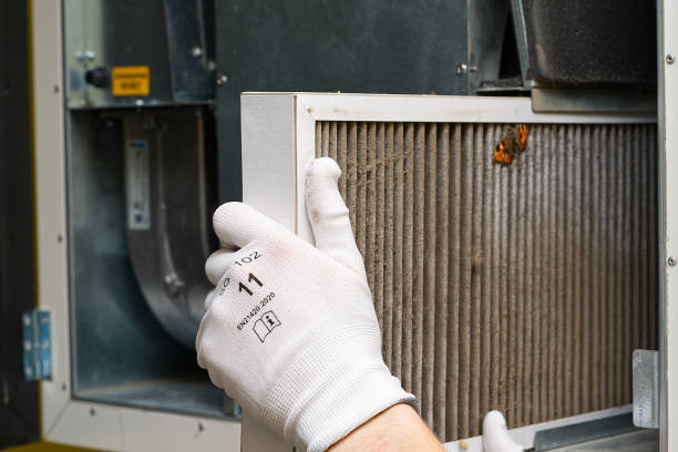 Best Air Duct Sanitizing Services  in Frankl, IN