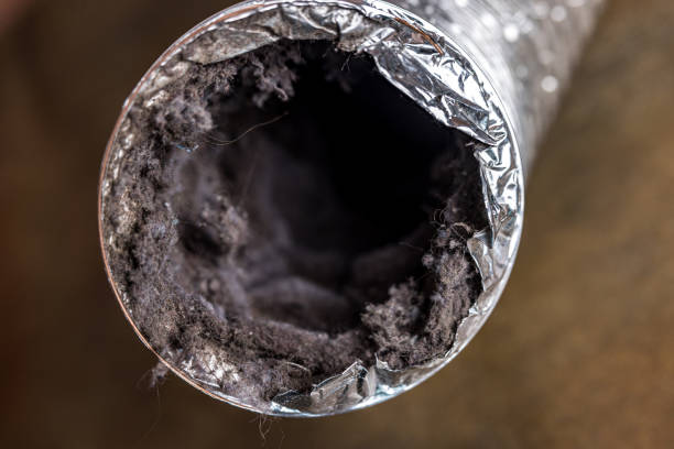 Best Residential Air Duct Cleaning  in Frankl, IN