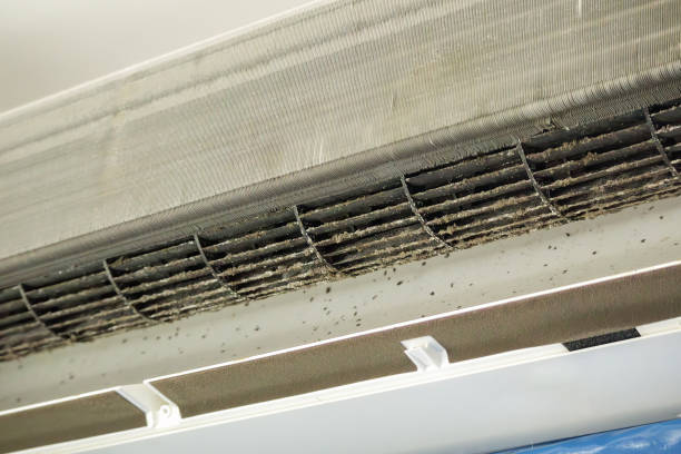 Best Best Air Duct Cleaning Company  in Frankl, IN